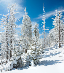 Similar image 406530