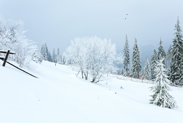 Similar image 406539