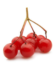 Similar image 406591