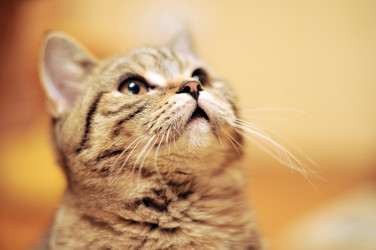 Similar image 406650