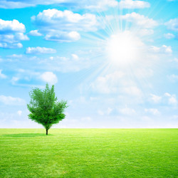 Similar image 406696