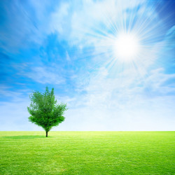 Similar image 406707