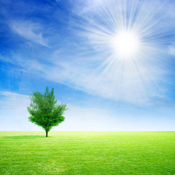 Similar image 406713