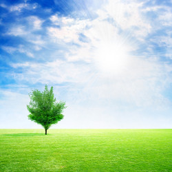 Similar image 406719