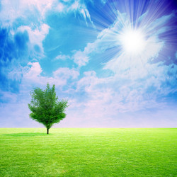 Similar image 406731