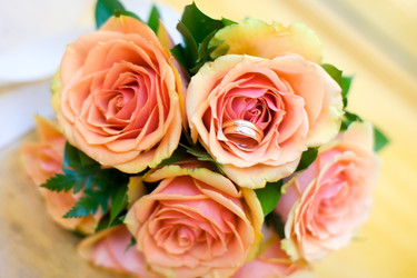 Similar image 406748