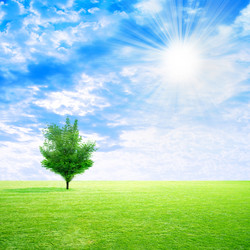 Similar image 406752