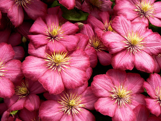 Similar image 406785