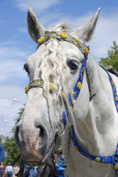 Similar image 406836