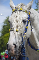 Similar image 406837