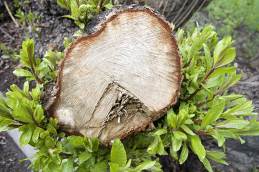 Similar image 406839