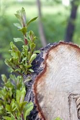 Similar image 406840