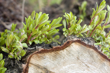 Similar image 406842