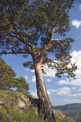 Similar image 406849