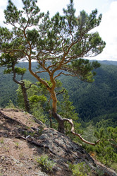 Similar image 406856