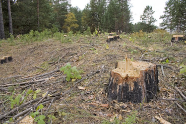 Similar image 406860