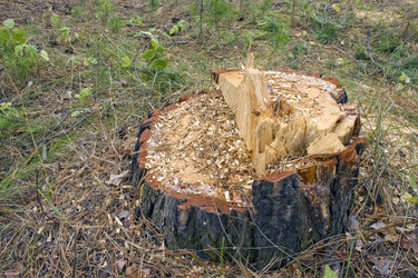 Similar image 406861