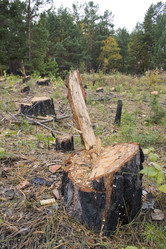 Similar image 406862