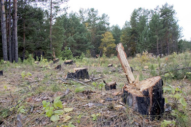 Similar image 406863