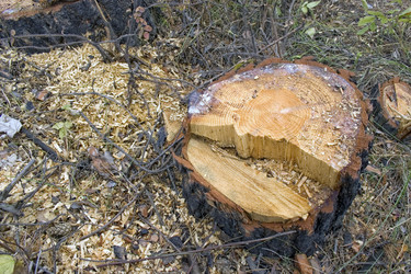 Similar image 406864