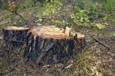 Similar image 406865