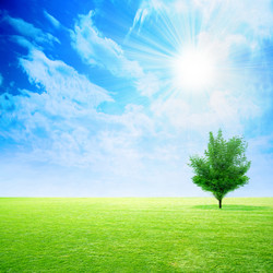 Similar image 406881