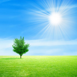 Similar image 406886