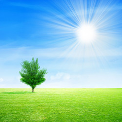 Similar image 406906