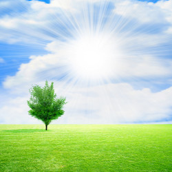 Similar image 406927