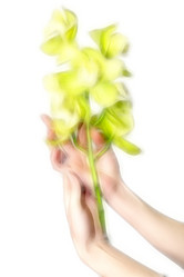 Similar image 406950