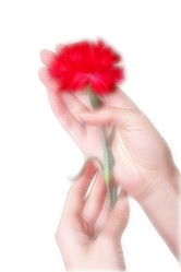 Similar image 406954