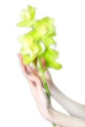 Similar image 406957