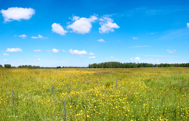 Similar image 406992