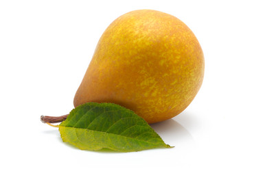 Similar image 407060