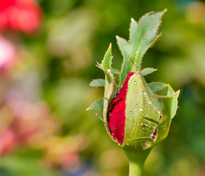 Similar image 407069