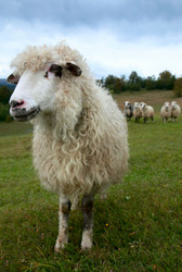 Similar image 407090