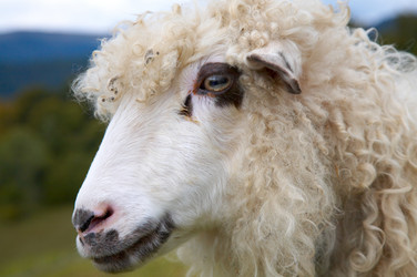 Similar image 407097