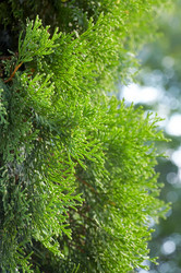 Similar image 407100