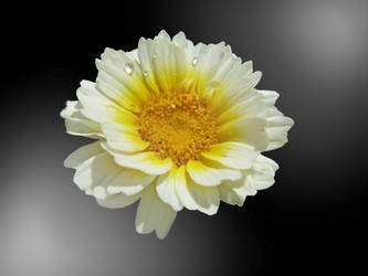 Similar image 407123