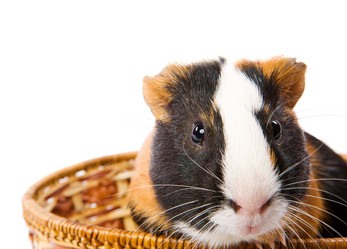 Similar image 407198