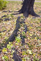 Similar image 407366