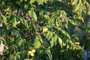 Similar image 407372