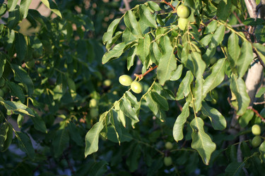 Similar image 407373