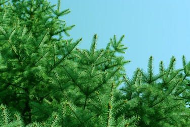 Similar image 407505