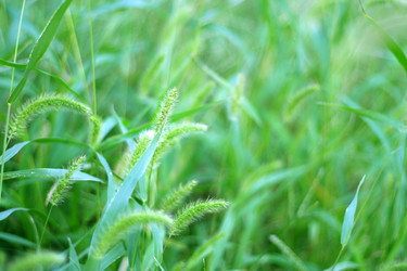 Similar image 407541