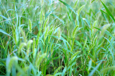 Similar image 407543