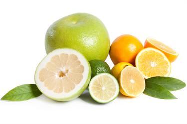 Similar image 407549