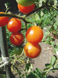 Similar image 407552