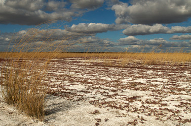 Similar image 407572