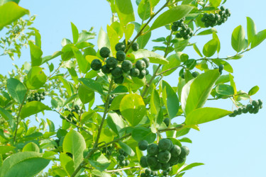 Similar image 407573